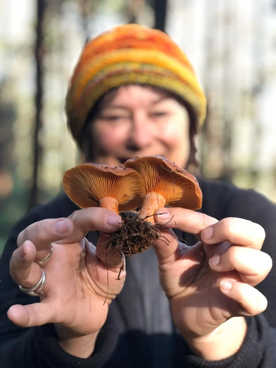 Mushroom foraging at Otterholt Farm